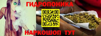 прущие грибы Пугачёв