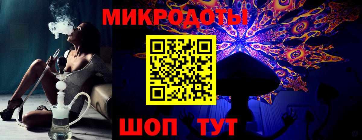 Пугачёв  Псилоцибиновые грибы Psilocybe  Вход с VPN 