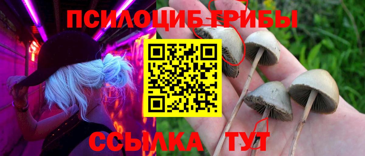 Бошки Шишки  Alpha PVP СОЛЬ кристаллы  Пугачёв  Вход с VPN  Кокаин  Мефедрон   ГАШИШ  Где купить наркотики?  МДМА  МЕТАДОН 